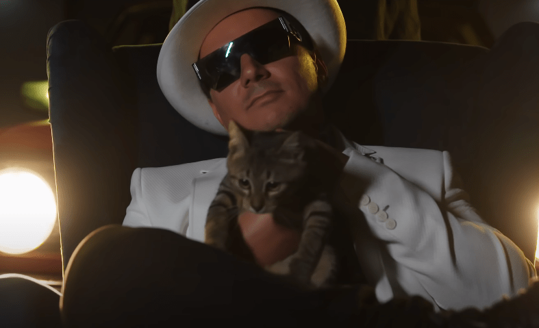 Bogusz | Disco-Polo.eu