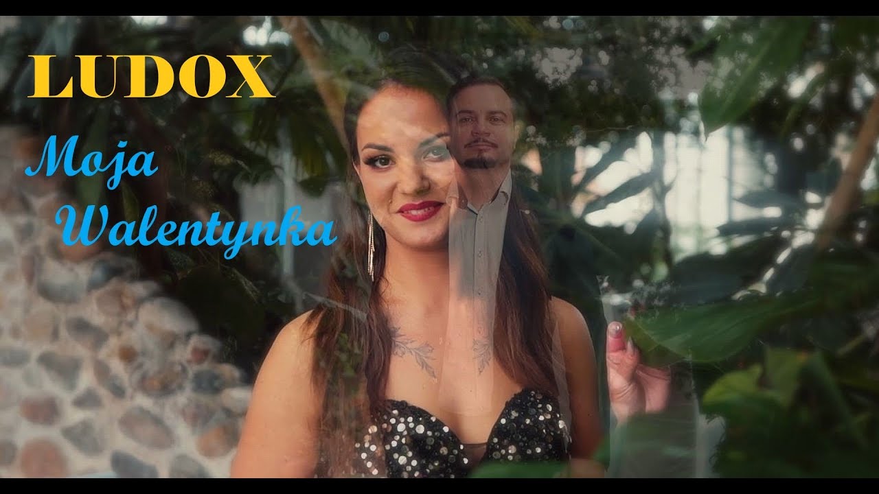 Ludox | Disco-Polo.eu