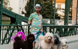 von prais | Disco-Polo.eu