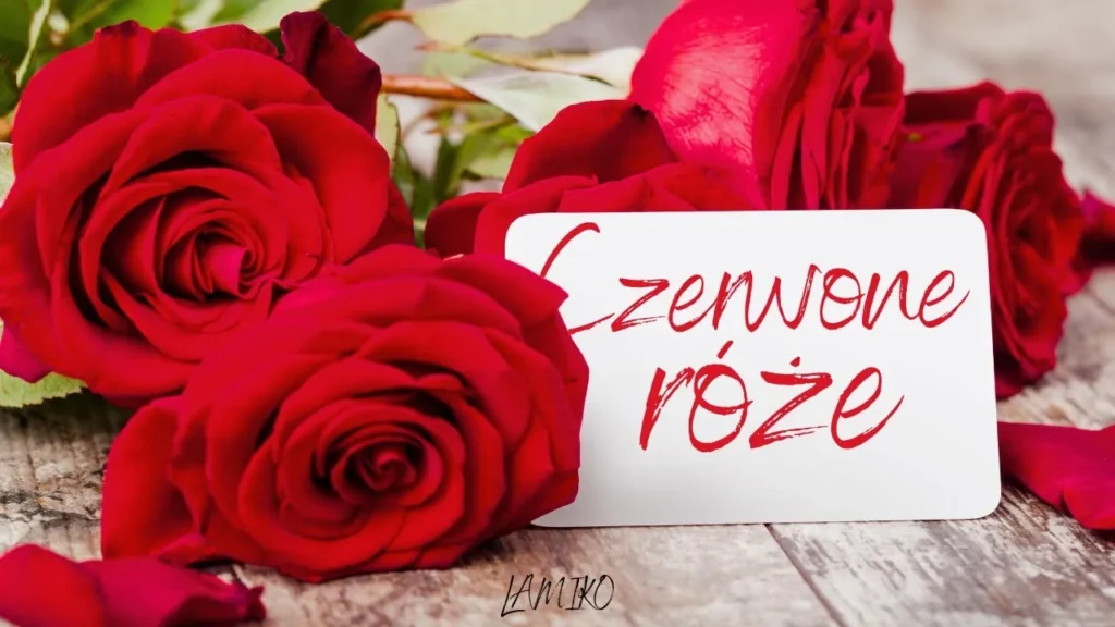 Arek Kopaczewski & Loki – Czerwone róże (z rep. LAMIKO)