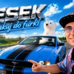 | Disco-Polo.eu