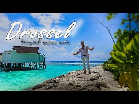 drossel | Disco-Polo.eu