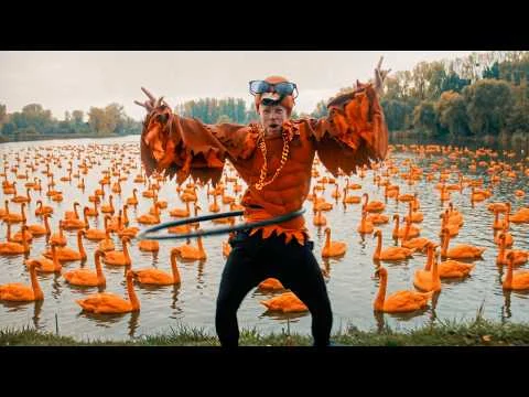 Muzyczny odlot! Friendz i Łobuzy z premierą „Rudy łabądź” Łobuzy | Disco-Polo.eu