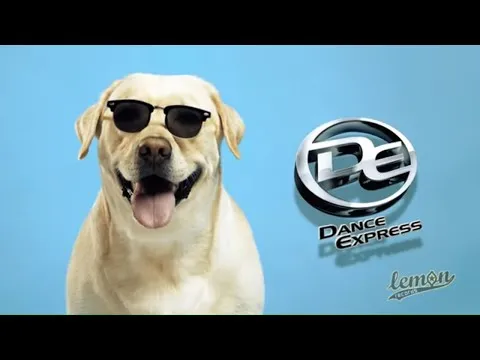 | Disco-Polo.eu