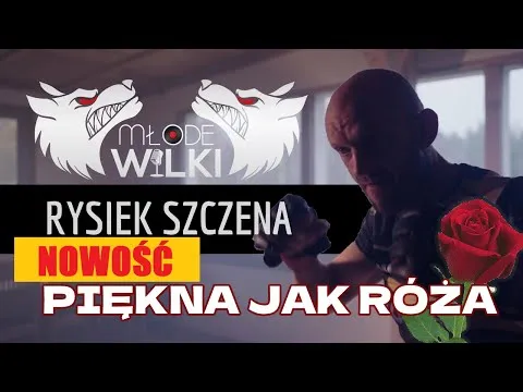 Młode wilki | Disco-Polo.eu